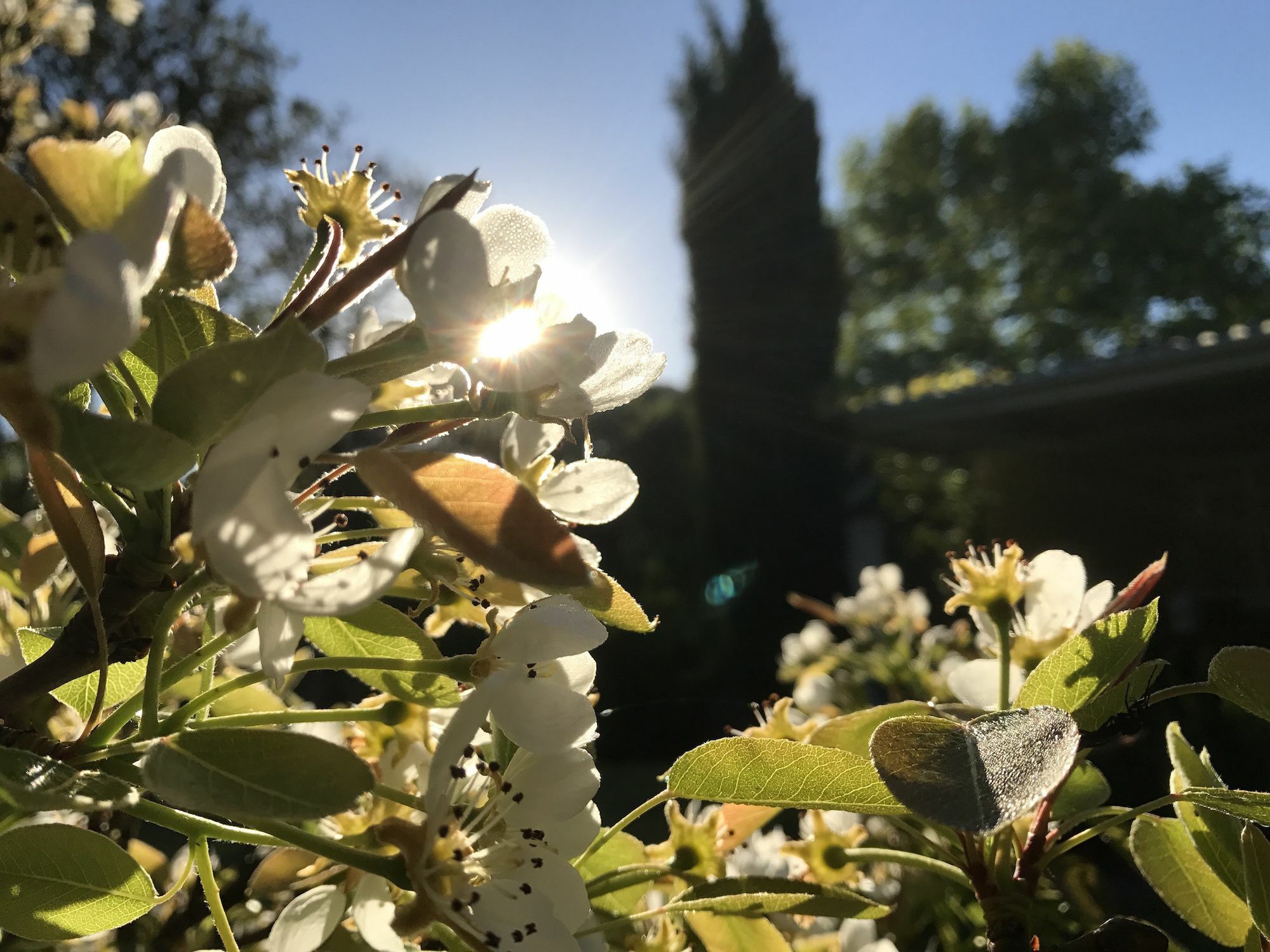 Bed and Breakfast Constantia Spring Экстерьер фото